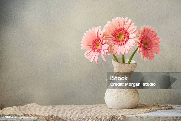 Gerber Stock Photo - Download Image Now - Arrangement, Colors, Daisy