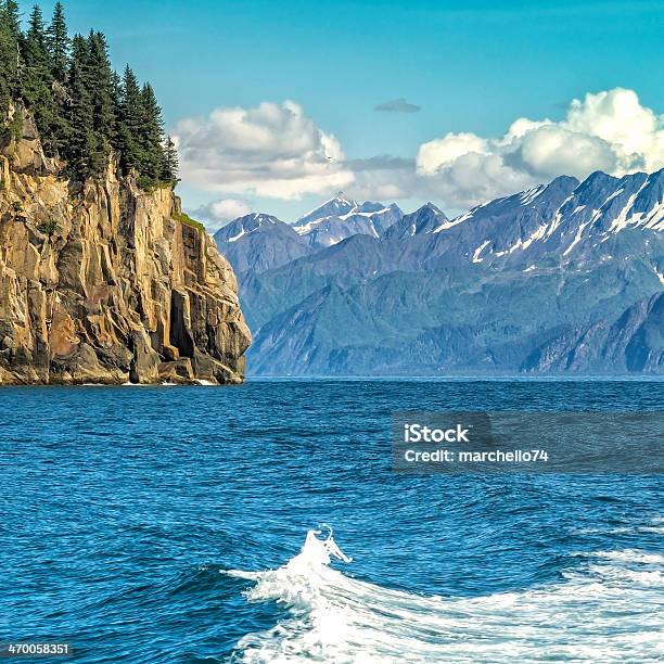 Wildlife Cruise Um Die Auferstehung Christi Bay In Alaska Stockfoto und mehr Bilder von Alaska - US-Bundesstaat