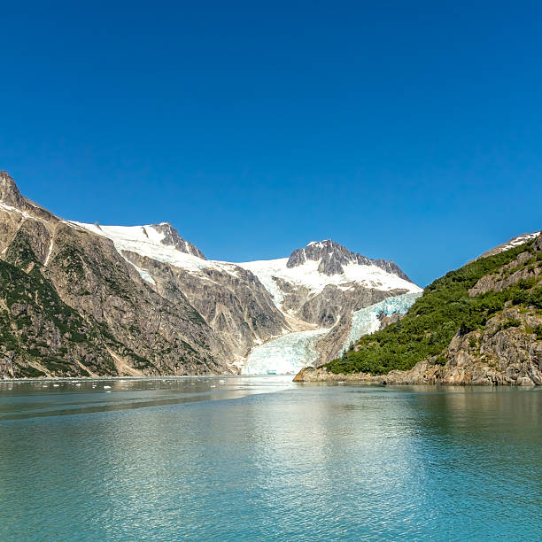 istock Glacier bay with clear blue sky 470058359