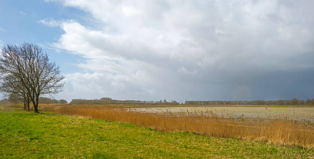 istock Shore of a lake in spring in deteriorating weather 470059908