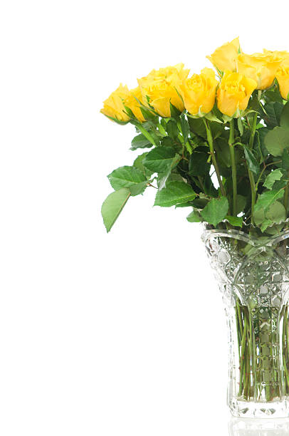 istock Roses in the vase 470060850