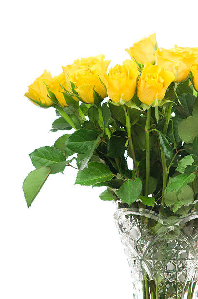 istock Roses in the vase 470060858