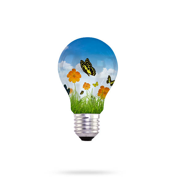 istock Light bulb and fresh spring green grass with butterfly 470061679