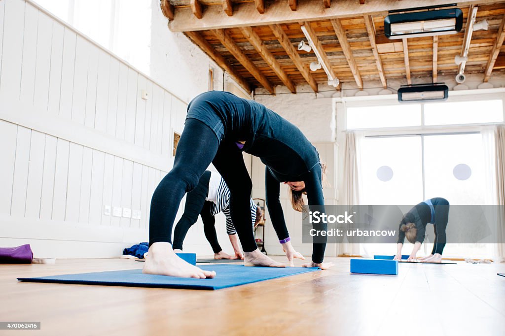 Uttanasana, Standing forward bend, Yoga class, exercise studio Uttanasana, Standing forward fold, yoga in an exercise studio.  2015 Stock Photo