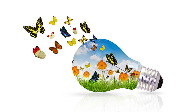 istock Light bulb and fresh spring green grass with butterfly 470062503