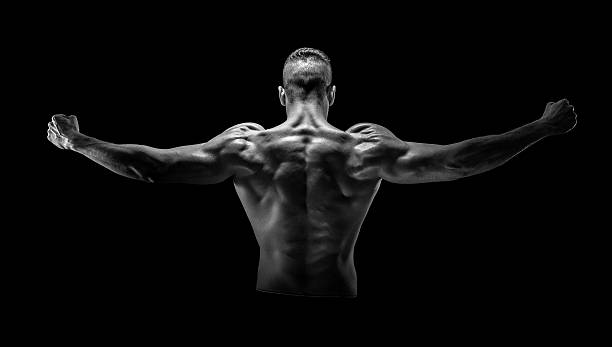 Strong man Young shirtless man with strong body showing his back. Studio shoot from behind over dark background. Black and white image. human muscle stock pictures, royalty-free photos & images