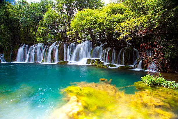 hermosa cascada - jiuzhaigou national park jiuzhaigou national park unesco world heritage site fotografías e imágenes de stock