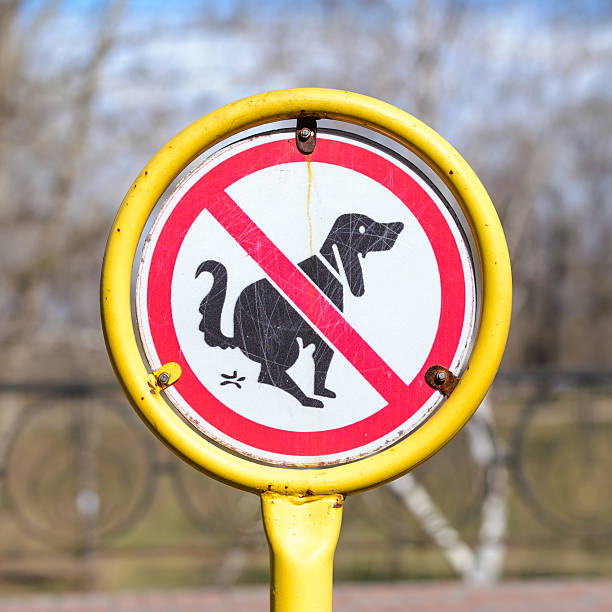 istock Signpost no Dog Poop 470078272