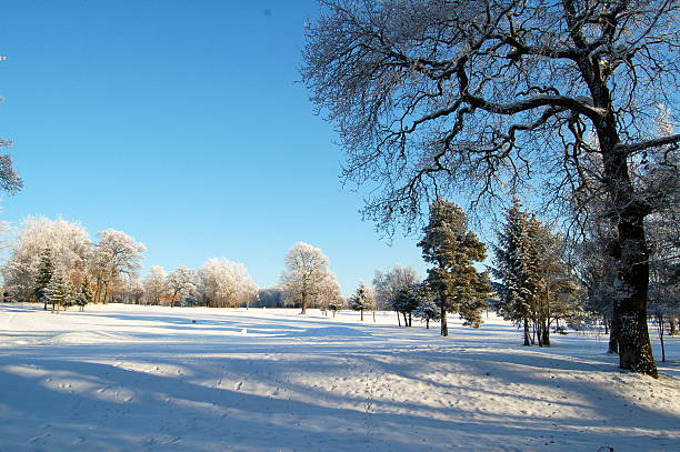 campo de golfe em bellshill, lanarkshiregreat-britain_counties.kgm - lanarkshire imagens e fotografias de stock