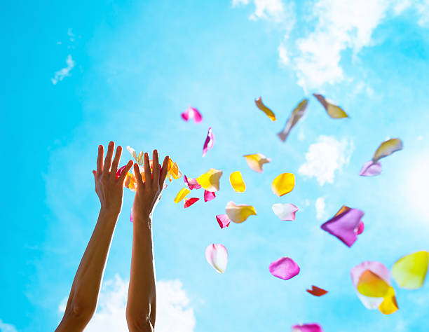 istock Rose petals falling from woman hands 470079380