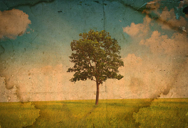 istock vintage of Field with green grass and tree 470079495