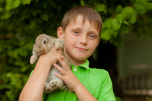 istock The little boy with a rabbit in the hands 470084510