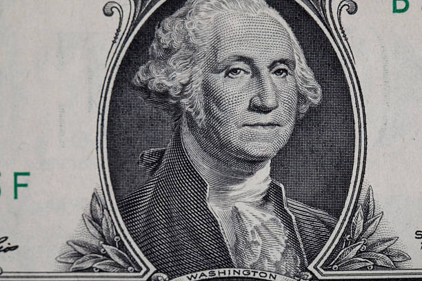 USA dollar in macro shot