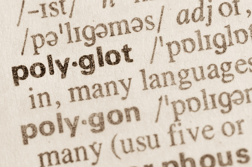 Diccionario de la definición de la palabra polyglot photo