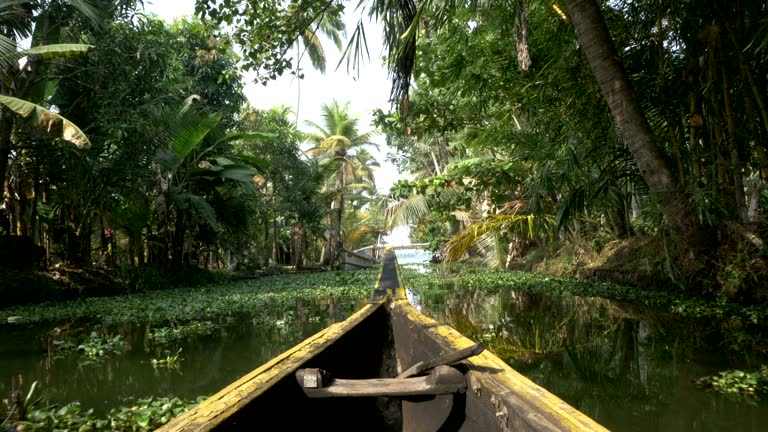 canoe boat on backwaters of Kerala State, South India