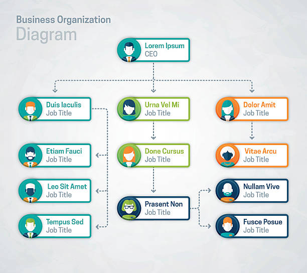 Business Corporate Organization Chart Business corporate organization diagram or chart showing organizational heirarchy and positions with space for your copy. EPS 10 file. Transparency effects used on highlight elements. corporate hierarchy stock illustrations