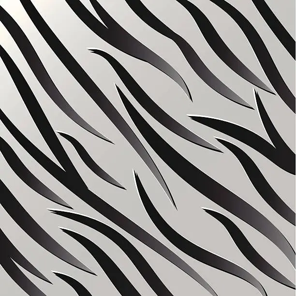 Vector illustration of zebra texture eps 10 vector illustrator