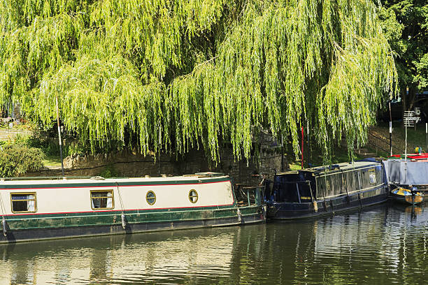 bidford - beauty in nature bidford motorboating british culture 뉴스 사진 이미지