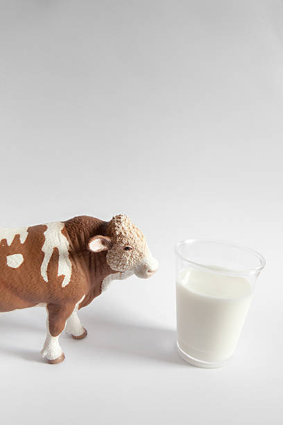 istock Cow and milk in the farm 470112098