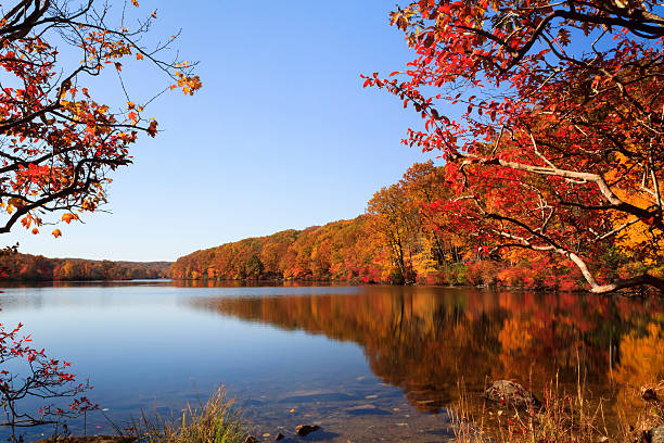 istock Autumn Foliage over lake 470112710