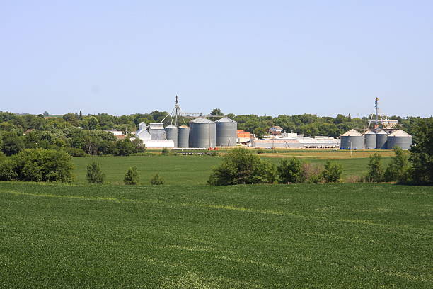 istock Soybean Field Near Small Nebraska Town 470115790