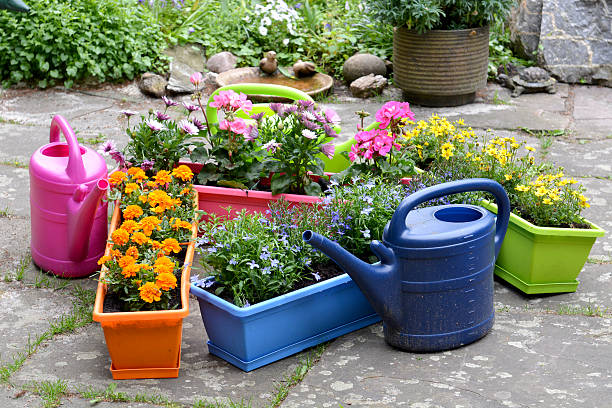 Planting of flower boxes