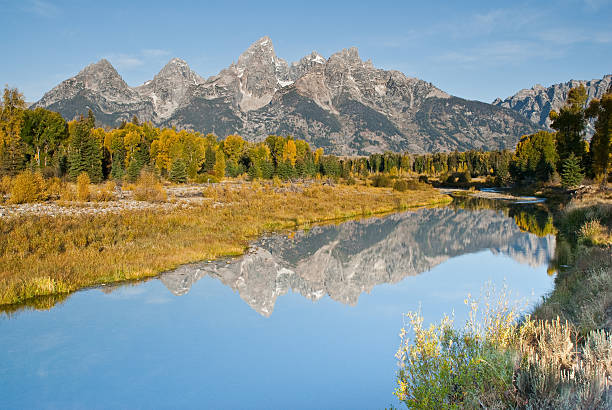 Teton Range Reflected in the Snake River The Snake River flows quietly through the Jackson Hole Valley. In many places the water is so calm and glassy that a perfect reflection of the Teton Range is often seen. This picture of the Tetons and fall foliage was taken from Schwabacher Landing, a very popular place for photographers. Schwabacher Landing is in Grand Teton National Park near Jackson, Wyoming, USA. jeff goulden grand teton national park stock pictures, royalty-free photos & images