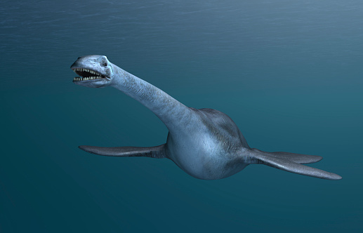 3D Computer rendered illustration of Elasmosaurus
