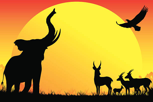 アフリカゾウ、antelopes 、イーグルシルエットでサファリホット日 - trumpeting点のイラスト素材／クリップアート素材／マンガ素材／アイコン素材