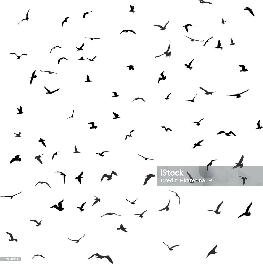Birds, gulls, black silhouette on white background. Vector Birds, gulls, black silhouette on white background Vector Bird stock vector
