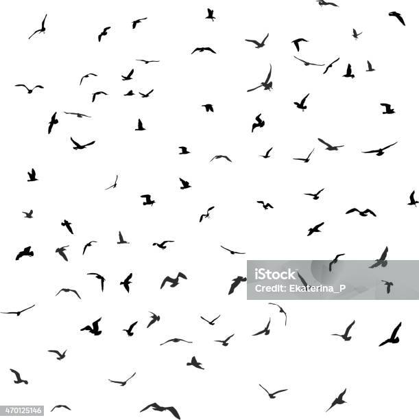 Birds Gulls Black Silhouette On White Background Vector Stock Illustration - Download Image Now