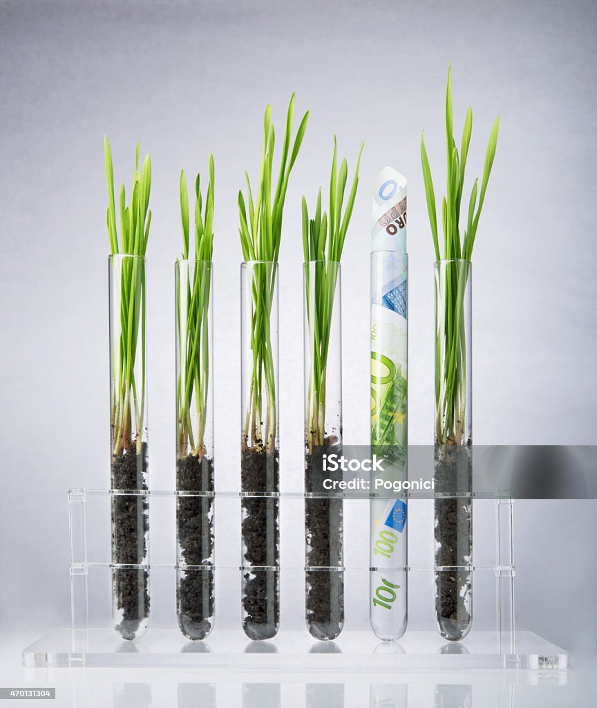 Genetically modified plants costs Genetically modified plants inside of test tubes 2015 Stock Photo