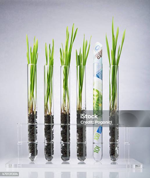 Genetically Modified Plants Costs Stock Photo - Download Image Now - 2015, Accuracy, Agriculture