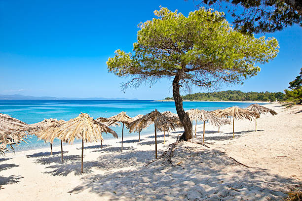 paradiso sandstrand auf akra glarokavos, griechenland. - vacations halkidiki beach sand stock-fotos und bilder