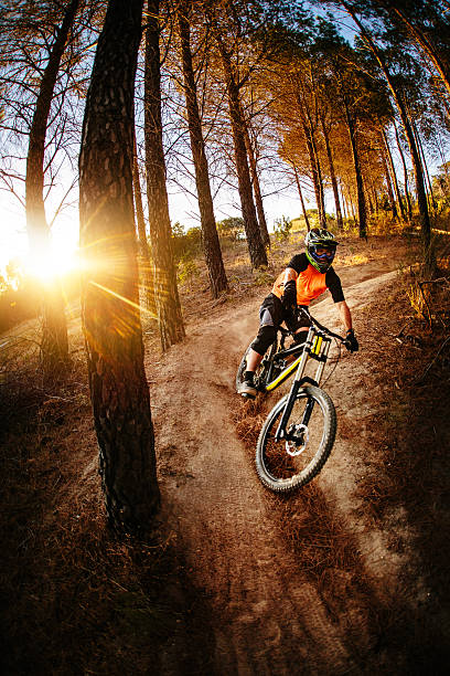 istock Mountain biker riding down forest track on a trail ride 470134222
