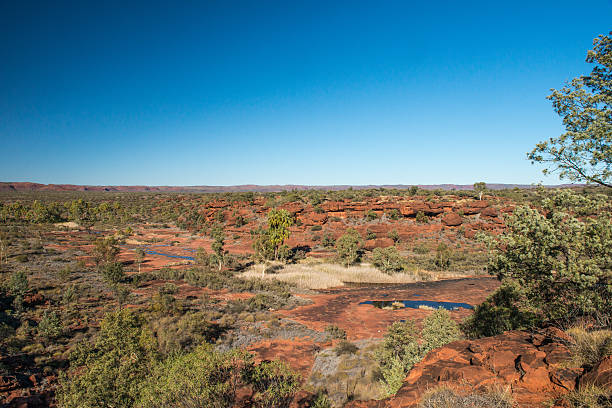 istock Palm Valley Landscape, Finke National Park, Northern Territory 470137140