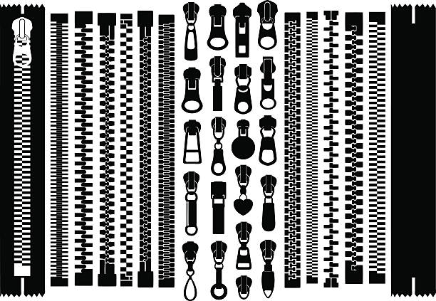 Zip Vector Art Icons And Graphics For Free Download