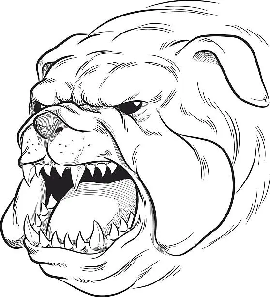 Vector illustration of Sketch of Angry Bulldog Barking