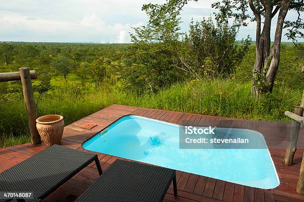 Plunge Pool African Safari Lodge Stock Photo - Download Image Now - Small, Swimming Pool, Hot Tub