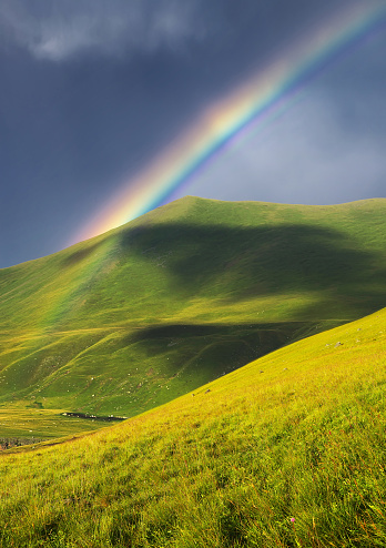 Tree, Field and Rainbow