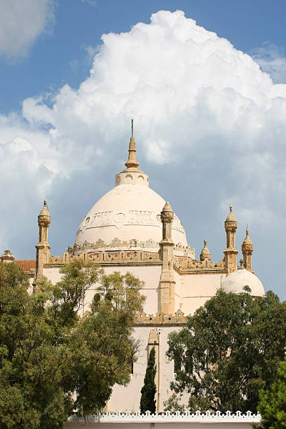 istock Saint Louis Cathedral in Tunisia 470151243