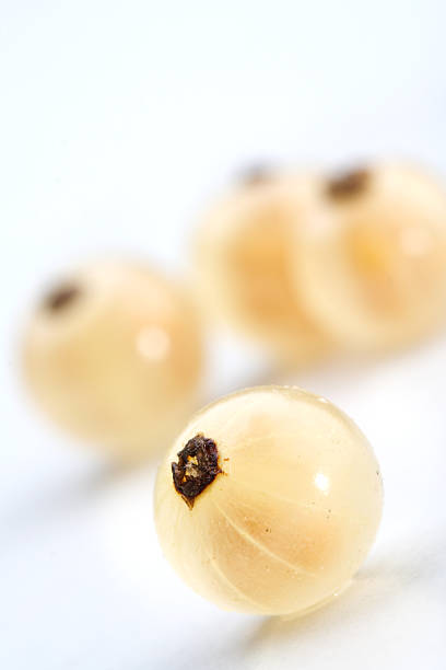 istock Close up of white currants 470153632