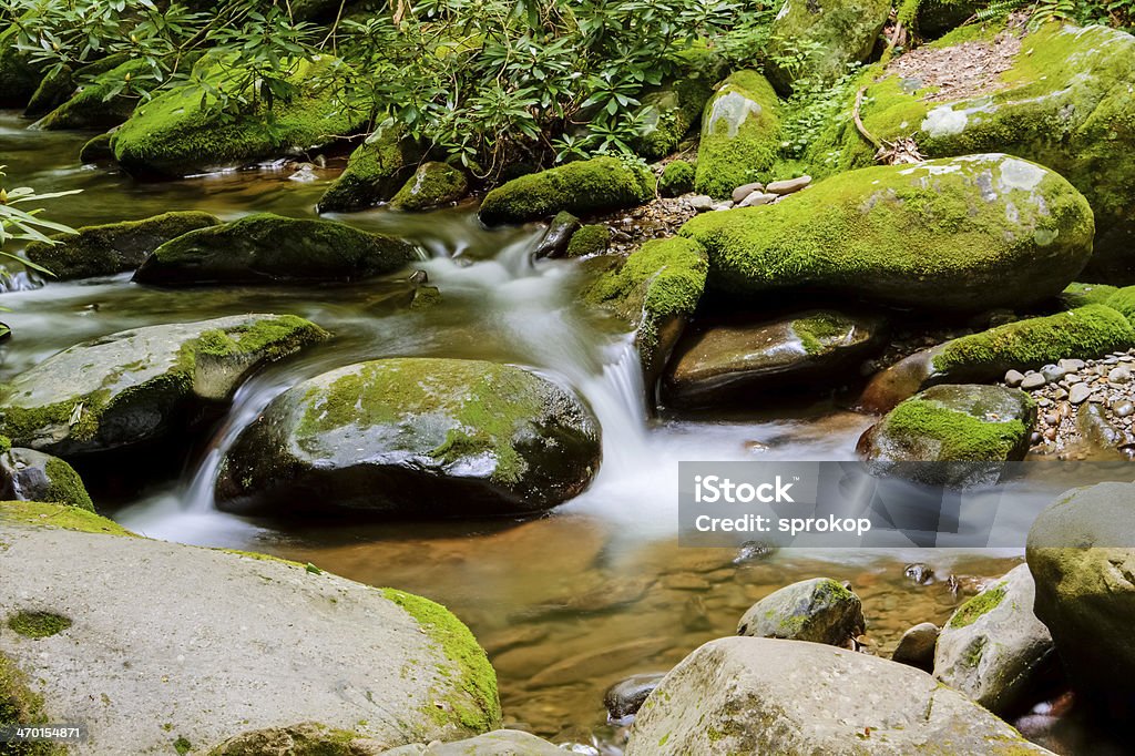 Roaring Fork River - Lizenzfrei Wald Stock-Foto