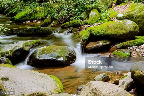 Foto de Roaring Fork River e mais fotos de stock de Floresta - Floresta, Appalachia, Bosque - Floresta