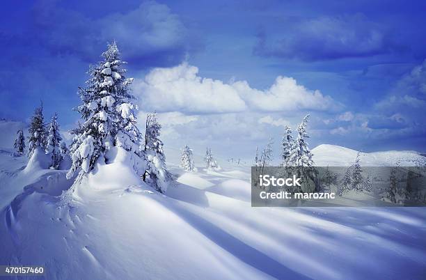 Frozen Trees On Karpaty Mountains Stock Photo - Download Image Now - 2015, Activity, Adult