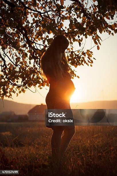 Pregnant Woman Walking Stock Photo - Download Image Now - Abdomen, Adult, Autumn