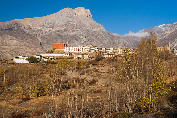 widok wieś jharkot - tibet monk architecture india zdjęcia i obrazy z banku zdjęć