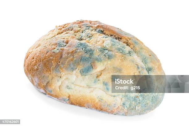 Brot Und In Schimmel Stockfoto und mehr Bilder von Abstrakt - Abstrakt, Allergie, Alt