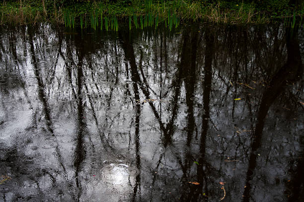 Boyne Canal reflections and ripples in the rain stock photo