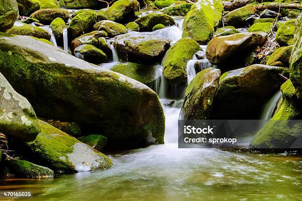 Roaring Fork River Stock Photo - Download Image Now - Appalachia, Appalachian Mountains, Appalachian Trail